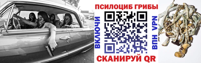 маркетплейс какой сайт  ОМГ ОМГ ССЫЛКА  Псилоцибиновые грибы Psilocybe  Лениногорск  даркнет сайт 