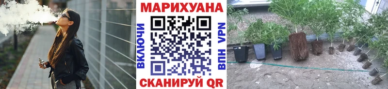 магазин продажи наркотиков  omg маркетплейс  Бошки Шишки MAZAR  Лениногорск 